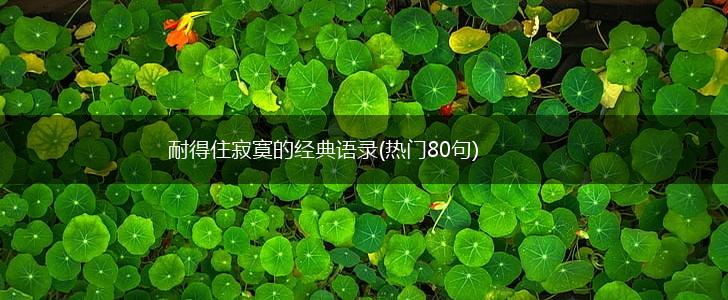 耐得住寂寞的经典语录(热门80句),第1张