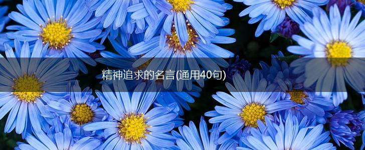 精神追求的名言(通用40句),第1张 精神追求的名言(通用40句),第1张