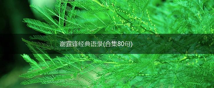 谢霆锋经典语录(合集80句),第1张