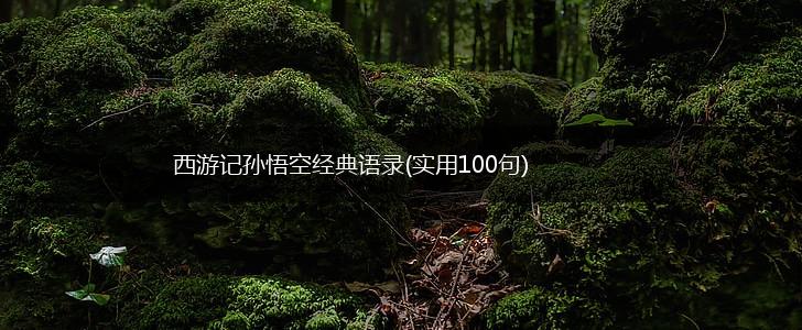 西游记孙悟空经典语录(实用100句),第1张
