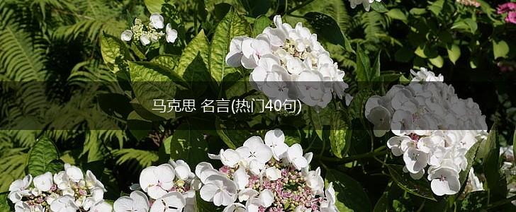 马克思 名言(热门40句),第1张