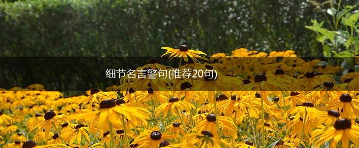 细节名言警句(推荐20句),第1张 细节名言警句(推荐20句),第1张