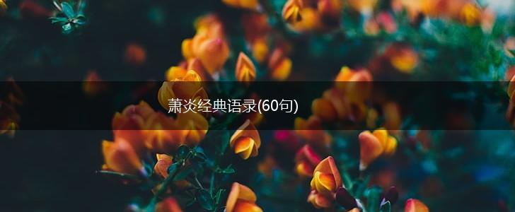 萧炎经典语录(60句),第1张