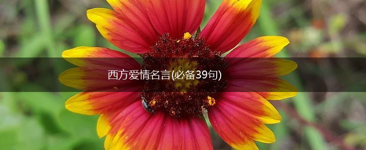 西方爱情名言(必备39句),第1张