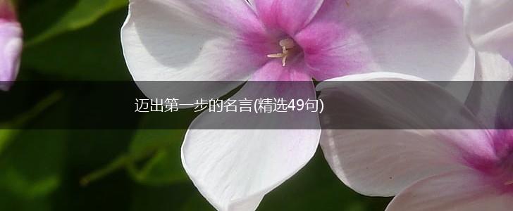 迈出第一步的名言(精选49句),第1张
