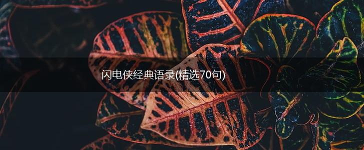 闪电侠经典语录(精选70句),第1张