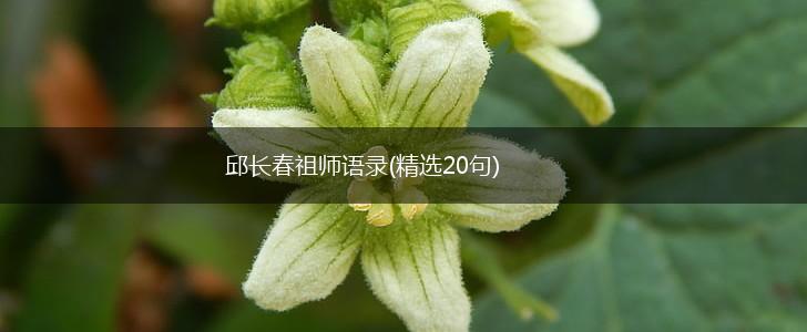 邱长春祖师语录(精选20句),第1张