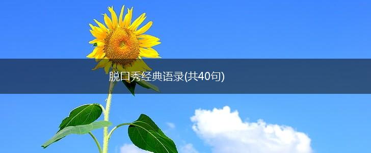 脱口秀经典语录(共40句),第1张