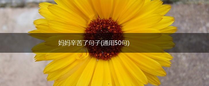 妈妈辛苦了句子(通用50句),第1张