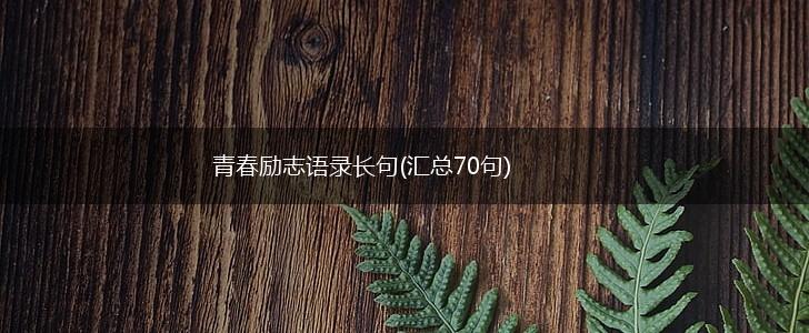 青春励志语录长句(汇总70句),第1张