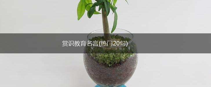 赏识教育名言(热门20句),第1张