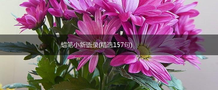 蜡笔小新语录(精选157句),第1张