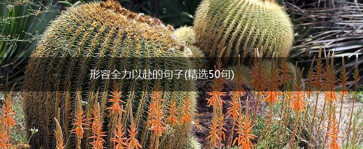形容全力以赴的句子(精选50句),第1张