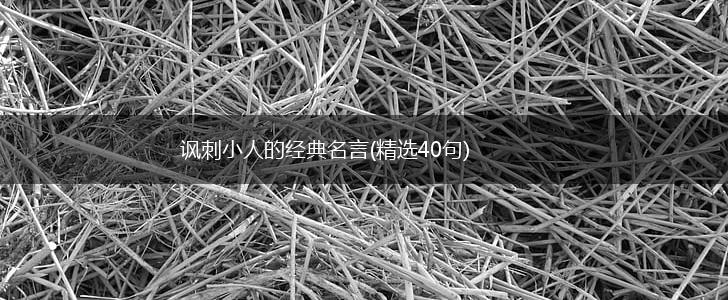 讽刺小人的经典名言(精选40句),第1张 讽刺小人的经典名言(精选40句),第1张