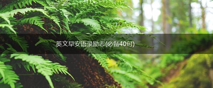 英文早安语录励志(必备40句),第1张