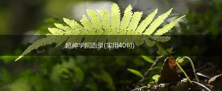 超神学院语录(实用40句),第1张