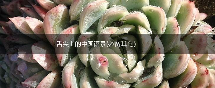 舌尖上的中国语录(必备11句),第1张