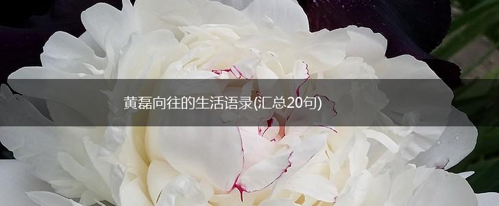 黄磊向往的生活语录(汇总20句),第1张