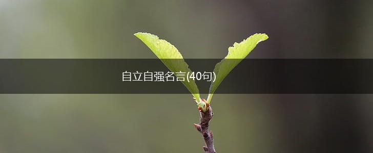 自立自强名言(40句),第1张 自立自强名言(40句),第1张