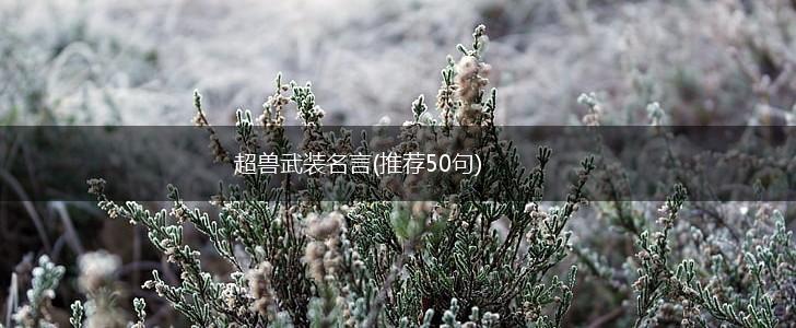 超兽武装名言(推荐50句),第1张 超兽武装名言(推荐50句),第1张