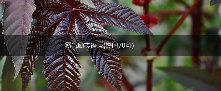 霸气励志语录(热门70句),第1张