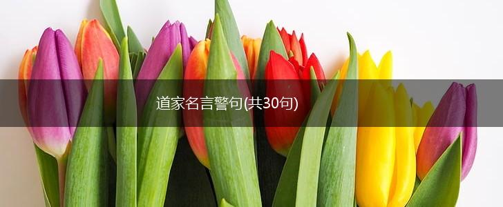 道家名言警句(共30句),第1张