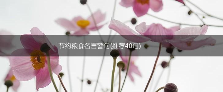 节约粮食名言警句(推荐40句),第1张