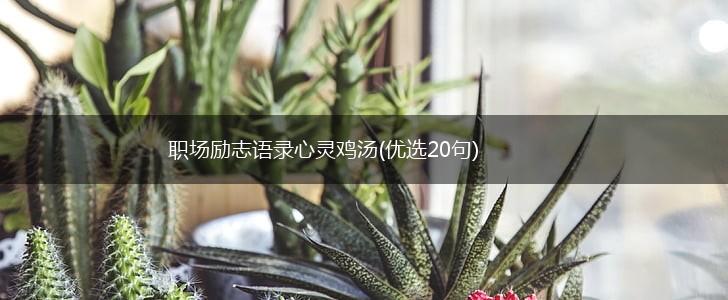 职场励志语录心灵鸡汤(优选20句),第1张
