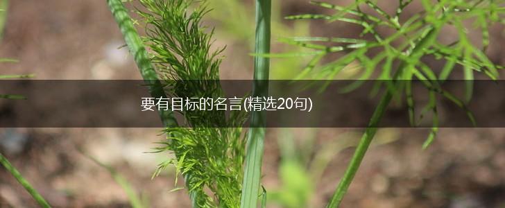 要有目标的名言(精选20句),第1张 要有目标的名言(精选20句),第1张