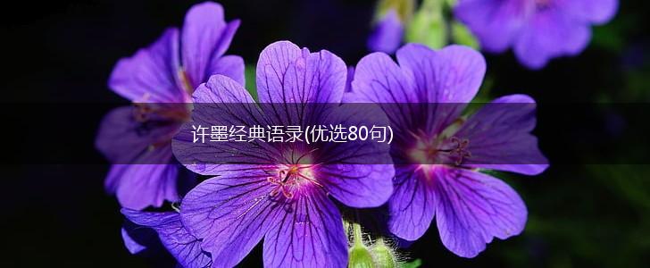 许墨经典语录(优选80句),第1张