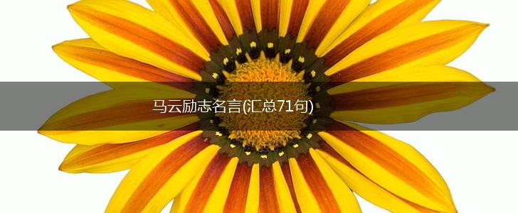 马云励志名言(汇总71句),第1张