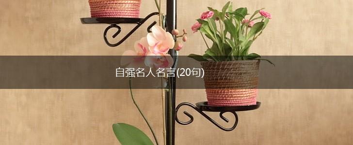 自强名人名言(20句),第1张