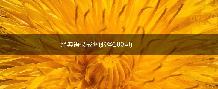 经典语录截图(必备100句),第1张