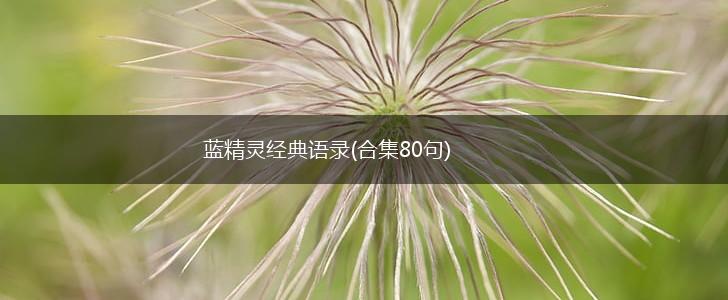 蓝精灵经典语录(合集80句),第1张