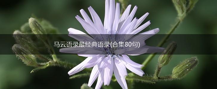 马云语录最经典语录(合集80句),第1张