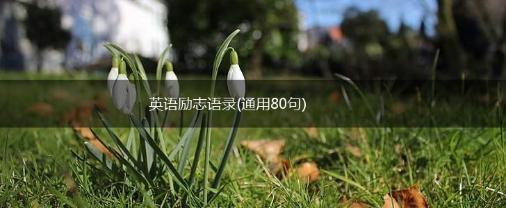 英语励志语录(通用80句),第1张