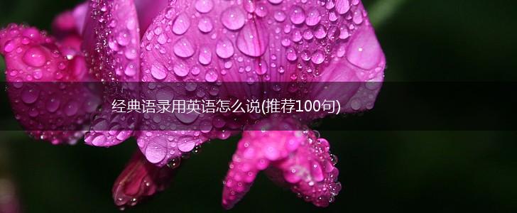 经典语录用英语怎么说(推荐100句),第1张