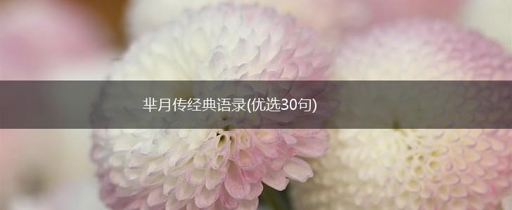 芈月传经典语录(优选30句),第1张