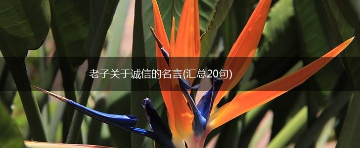 老子关于诚信的名言(汇总20句),第1张 老子关于诚信的名言(汇总20句),第1张