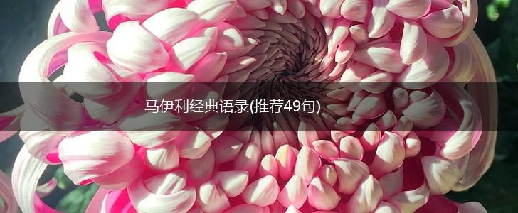 马伊利经典语录(推荐49句),第1张