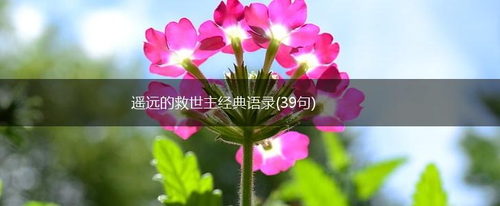 遥远的救世主经典语录(39句),第1张