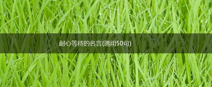 耐心等待的名言(通用50句),第1张