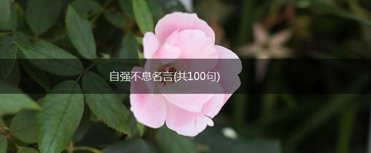 自强不息名言(共100句),第1张
