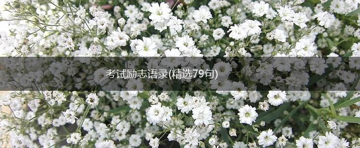 考试励志语录(精选79句),第1张