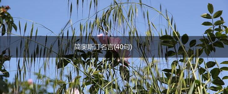 简奥斯汀名言(40句),第1张