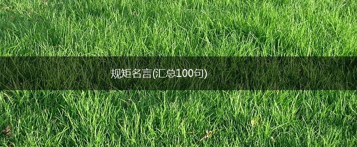 规矩名言(汇总100句),第1张 规矩名言(汇总100句),第1张