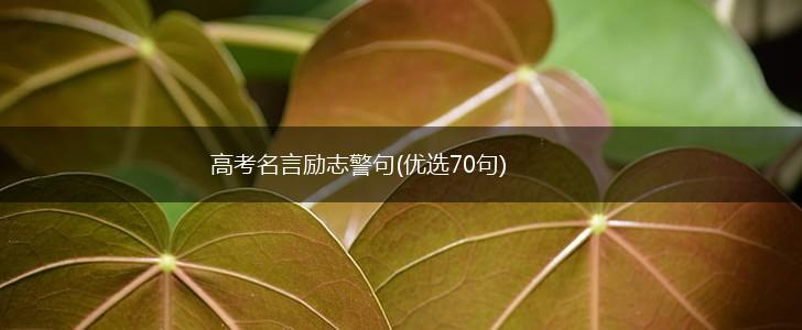 高考名言励志警句(优选70句),第1张