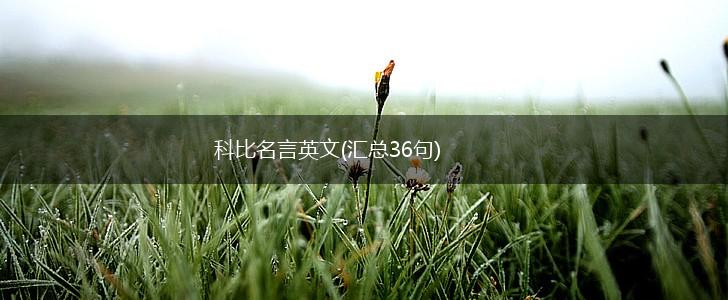 科比名言英文(汇总36句),第1张