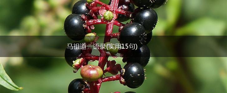 马祖道一语录(实用15句),第1张