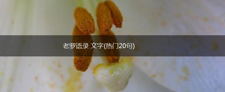 老罗语录 文字(热门20句),第1张